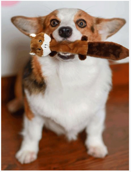 Animal Plush Whispering Squeak Dog Pet Toys