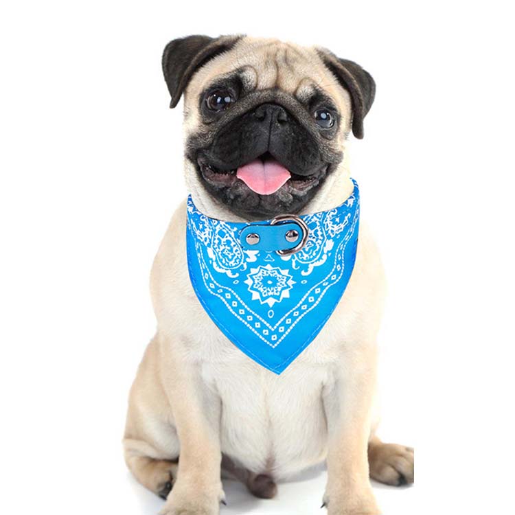 China Manufacturer Custom Print Logo Pet Dog Collar Bandana