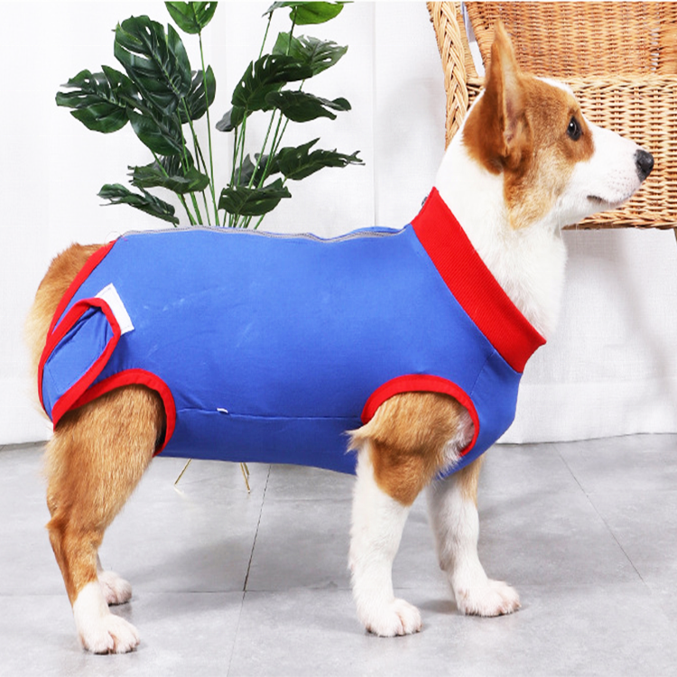 China Market Agent Pet Surgical Recovery Snuggly Suit Breathable Dog Surgical Recovery Suit Dogs