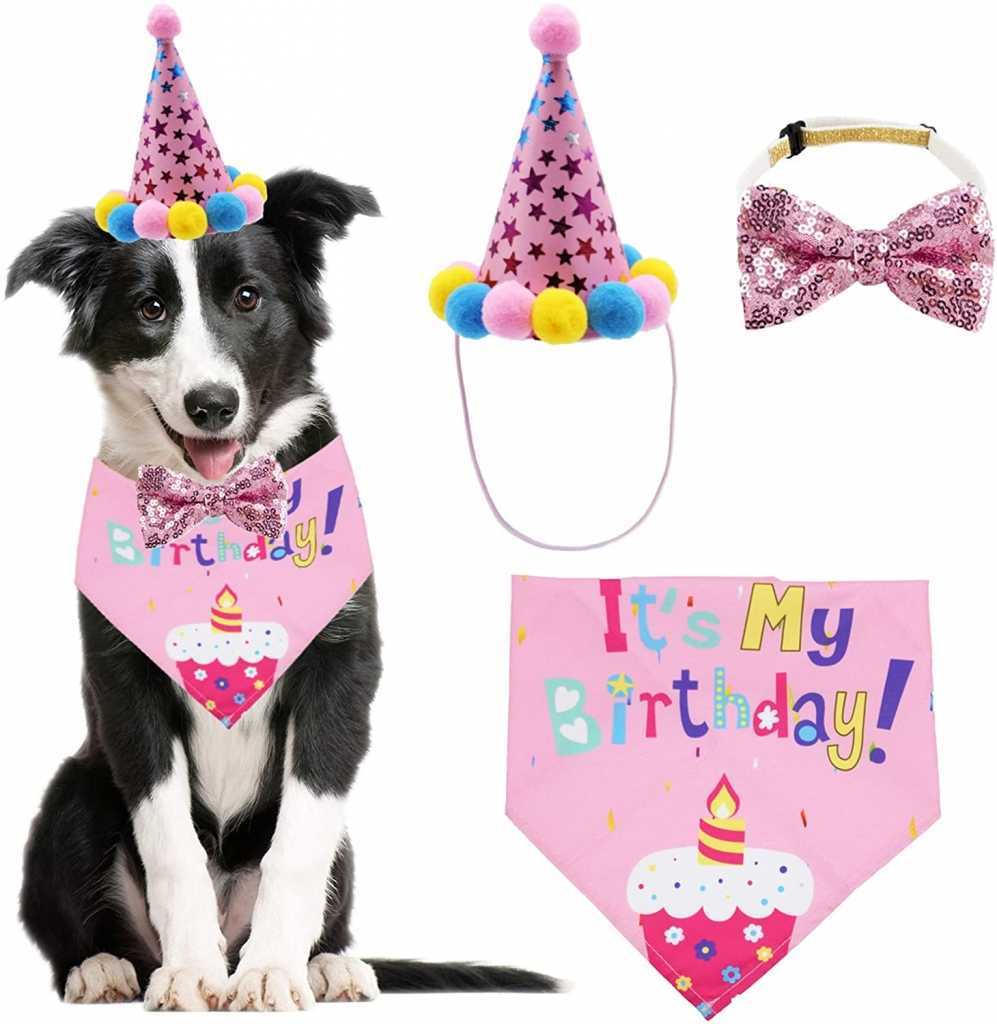 Competitive Personality Dog Collars Birthday Bow Tie