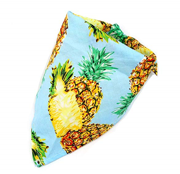 Custom Fruit Pattern Cotton Bandana Suitable Small Medium Large Pet Dog