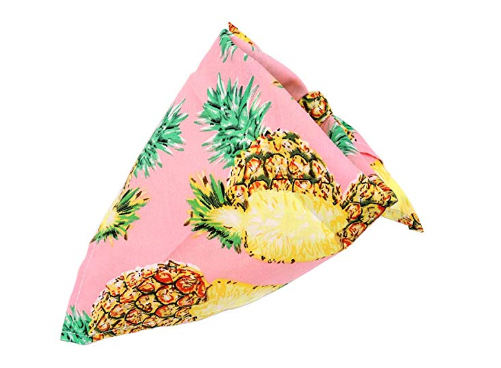 Custom Fruit Pattern Cotton Bandana Suitable Small Medium Large Pet Dog