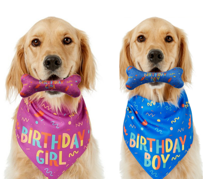 Pet Scarfs Dog Birthday Bandana Scarfs With Bone Toy Birthday Party Dog