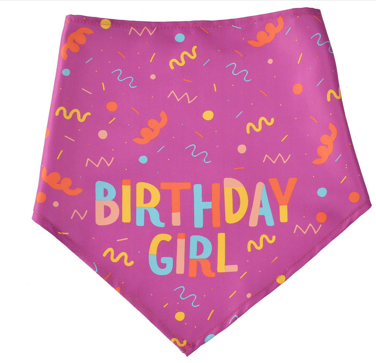 Pet Scarfs Dog Birthday Bandana Scarfs With Bone Toy Birthday Party Dog