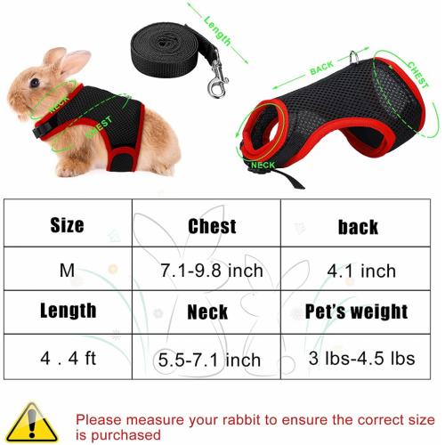 3 Pieces Rabbit Harness With Leash Cute Small Animals Adjustable Buckle Breathable Mesh Pet Vest Kitten Puppy Small Pets Wa