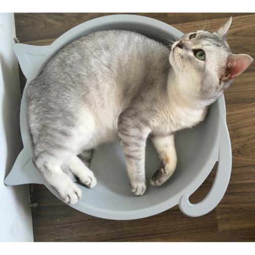 Comfortable Cat Warming Mat House Safety Thermostat Cat Auto Heating Pan Pet Bed