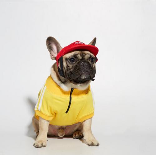 Corgi Schnauzer Fighting Pet Logo With Three Bars Dog Hoodie Winter Sports Dog Suit Clothing