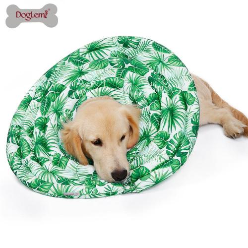 Dog Collar Dog Neck Protect