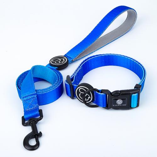 FUNPET Pet Supplies Ins Breathable Mesh Dog Collars Leashes