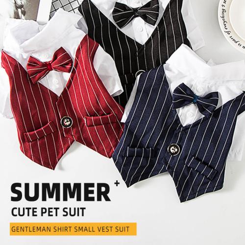 Fashionable Two Feet Pet Winter Clothes Stripe Shirt With Back Pocket