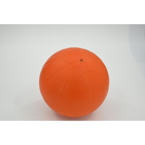 Indoor Elastic Ball Pet Toys Dog