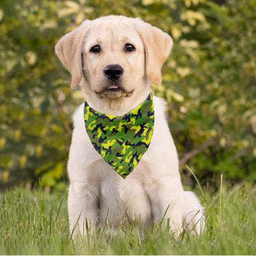 Ing Pet Bandana China Manufacturer Washable Print Square Pet Dog Scarf Bandana