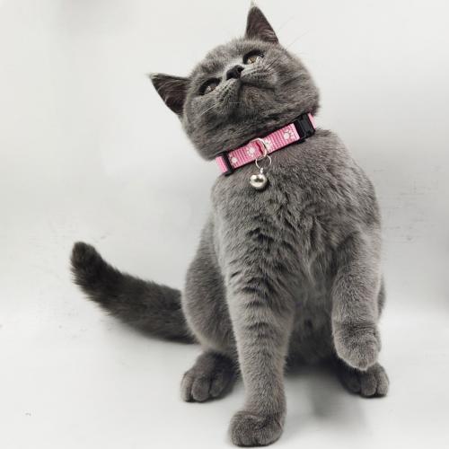 Kingtale Pet Products Best Seller Reflective Cat Breakaway Collar Custom With Bell
