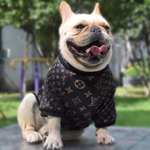 Logo Printed Puppy Clothes Pet Outfit Soft Warm Pet Dog Clothes Winter Sweater Jacket Coat