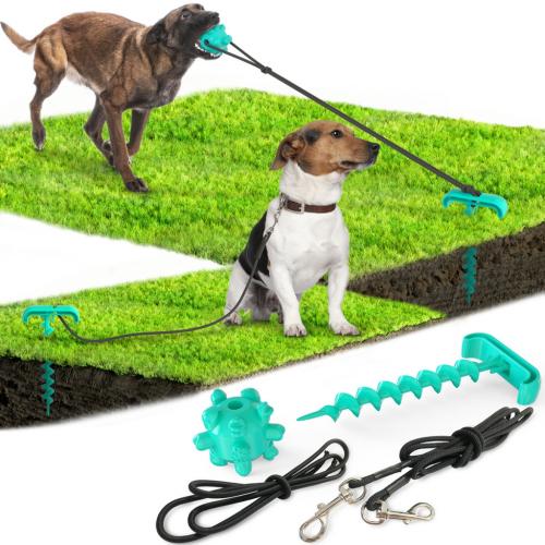 OEM Pet Multifunctional Training Pet Lead Tool Plastic Chew Molar Rope Dog Toys Leash