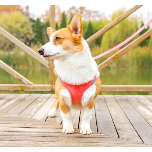 Outdoor Training Dog Harness Adjustable Dog Chest Strap Pet Harness Pet Product Dog Harness Pet