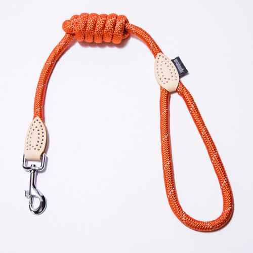 Personality Whole Sale Lighter Pet Leashes Nylon Circle Lock Or Metal Hook Replaced Pet Dog Riot Travel Colar Size S