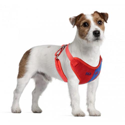 Pet Harness Leash Set Cat Suede Soft Dog Harness Set Contrast Color Breathable Summer Cat Vest Harnesses Dogs