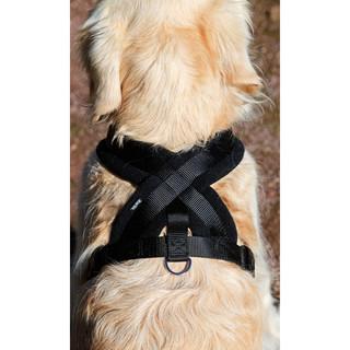 Pet Walking Touring Fleece Lined Dog Harness With Stocked Soft Comfort Nylon Webbing