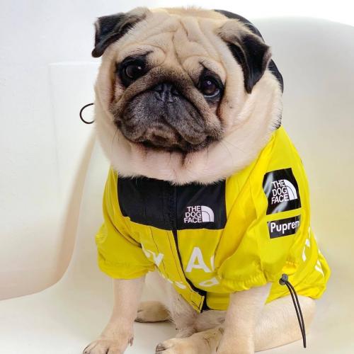 Simonpet Waterproof Four Legs Large Outfits Pet Clothes Dog Raincoat Thin Raincoats Spring Summer