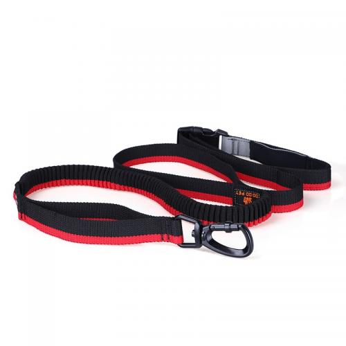 Smart Customized Nylon Rope Stripe Pet Training Accessories Dog Leash