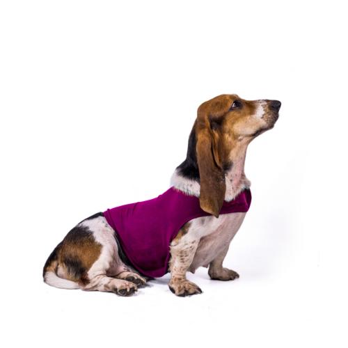 Soft Pet Clothes Dog Anxiety Jacket Vet Calming Vest Mellow Shirt Dog Anxiety Calming Wrap Dog Coat