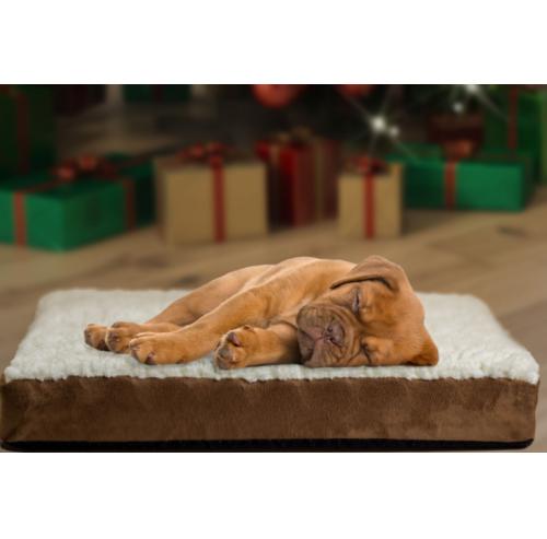 Warm Flat Dog Bed Pet Mat