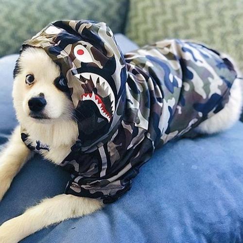 Windproof Dog Camouflage Raincoat Waterproof Shark Pattern Pet Hooded Big Dog Jacket Coat