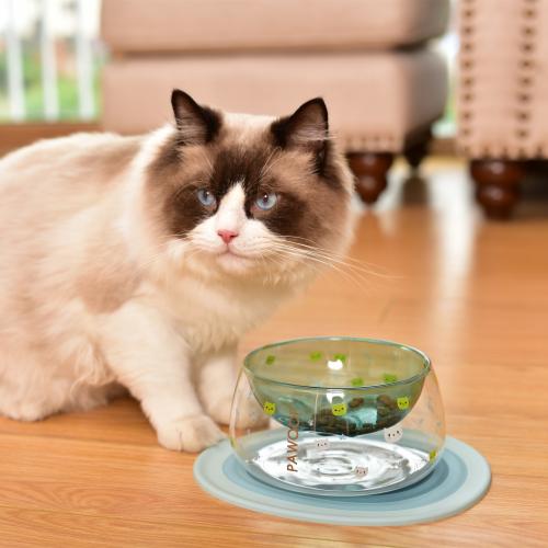 Pawoof Double Glass Wall Cat Food Bowl Stylish Cat Bowl Pet Bowl