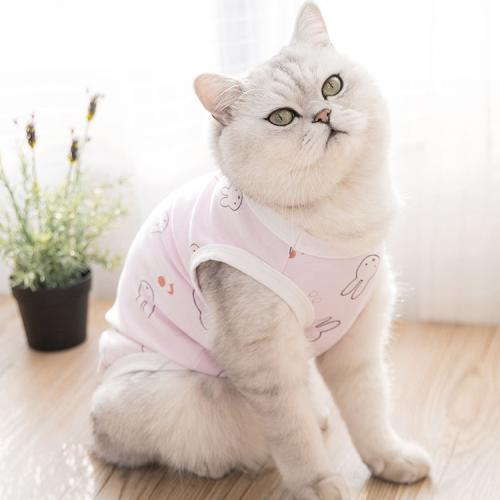 Cat Cute Pet Sweaters Dog Spring Summer Winter Knitwear Clothes Small Puppy Cat