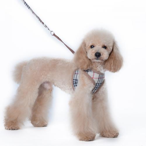 Custom Adjustable Small Dog Harness Leash Set Pet Accessories Vest Dog Leashes Easy Walking