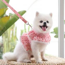 Cute Princess Soak Small Floral Lace Teddy Bichon Summer Spring Pet Harness Set Dog Harness Custom Dog Dresses Pet Harness