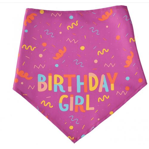 Pet Scarfs Dog Birthday Bandana Scarfs With Bone Toy Birthday Party Dog